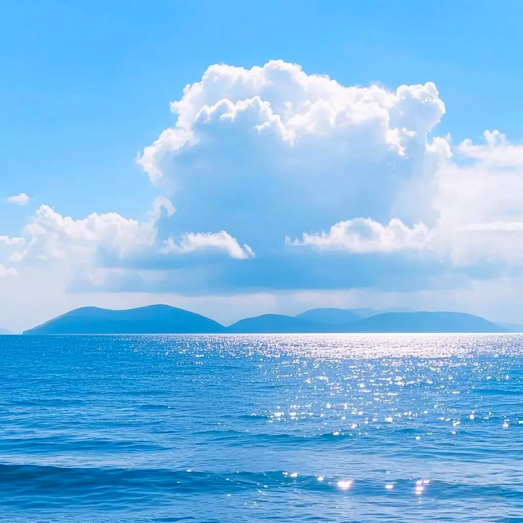 شہباز علی avatar