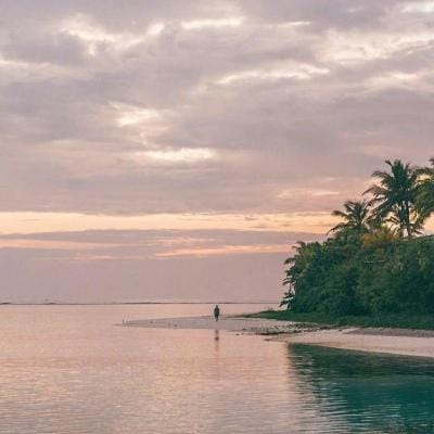 علی حسن avatar