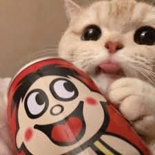 محبوبہ رضا avatar